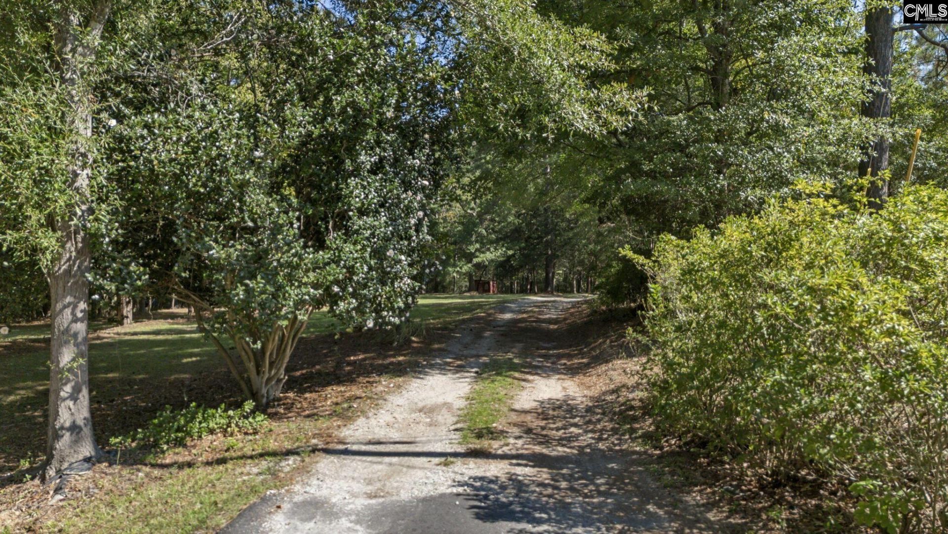 1113 Three Dog Road Photo 55