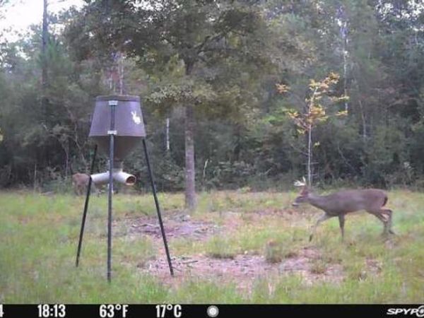 TBD Sunburst Drive, Crestview, FL 32539