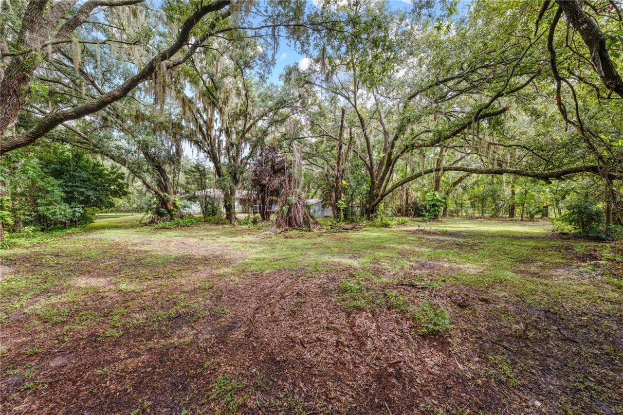 3800 Chaplain Rd , Saint Cloud, FL 34772 Photo