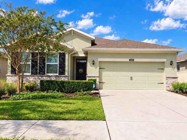 1143 PIPESTONE PLACE , WESLEY CHAPEL, FL 33543