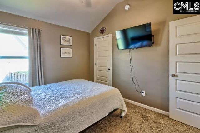 444 Reedy River Court  Photo 23