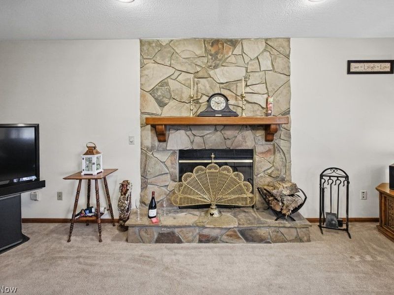 6800 Egypt Road, Medina, OH 44256 Photo 12