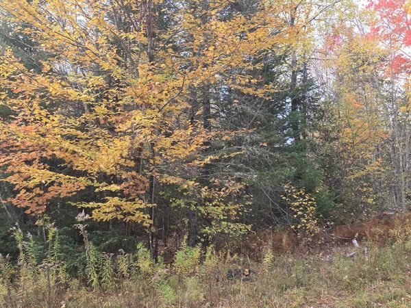 Lot 27 Murray Road , Thorndike, ME 04986