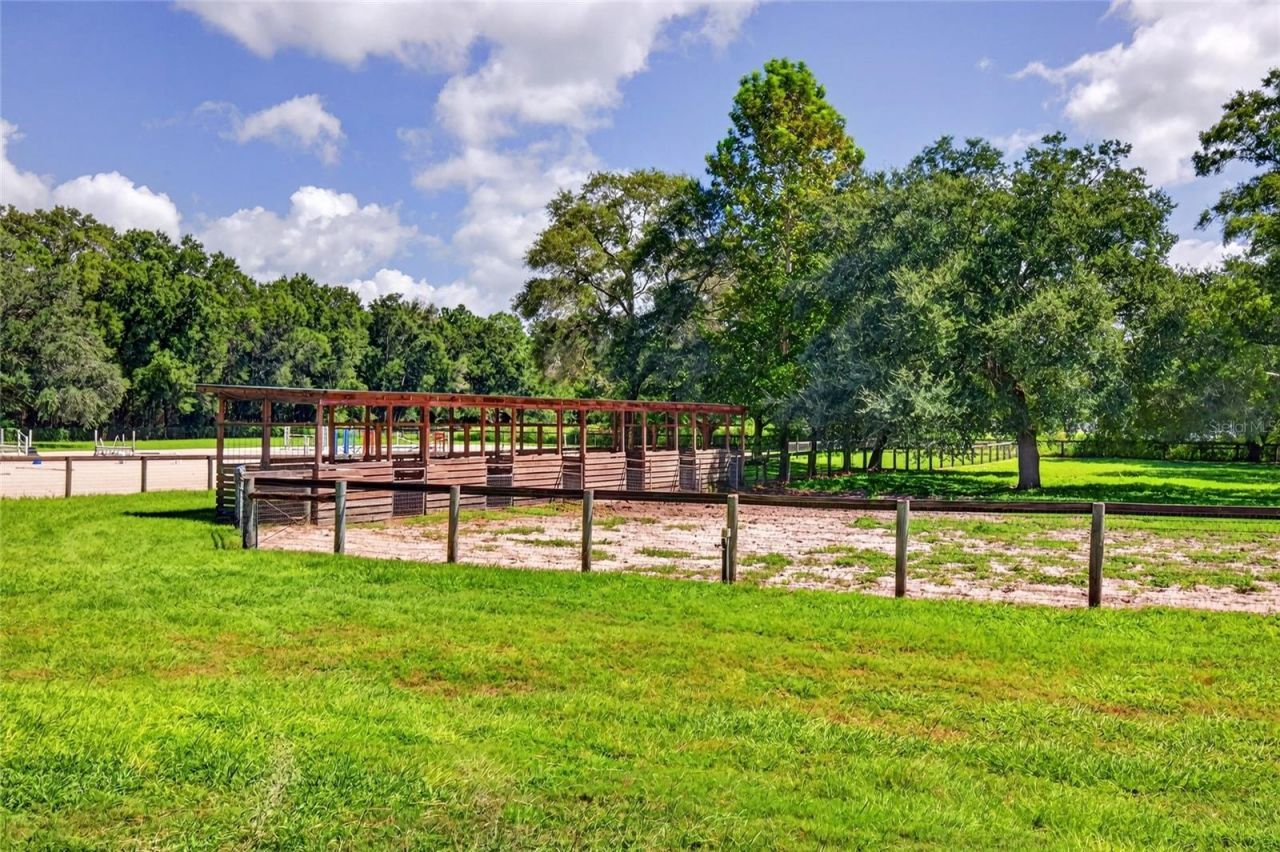 20871 SE 42nd Street, Morriston, FL 32668 Photo
