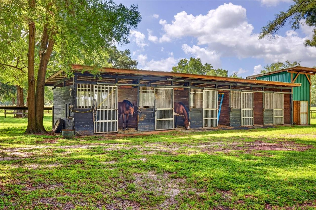 20871 SE 42nd Street, Morriston, FL 32668 Photo