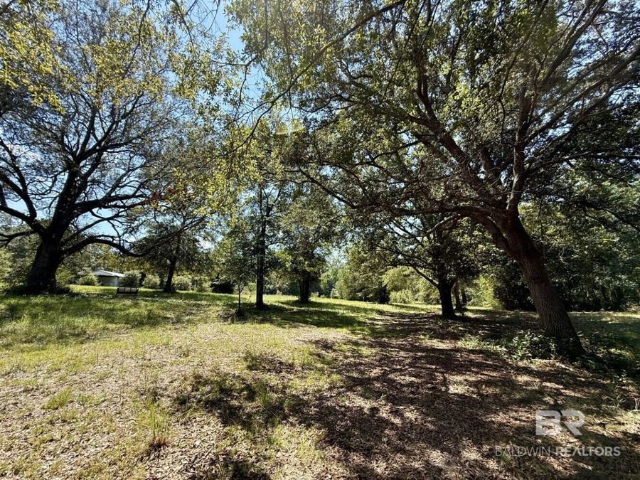 Property Image 47