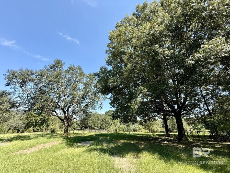 Property Image 61