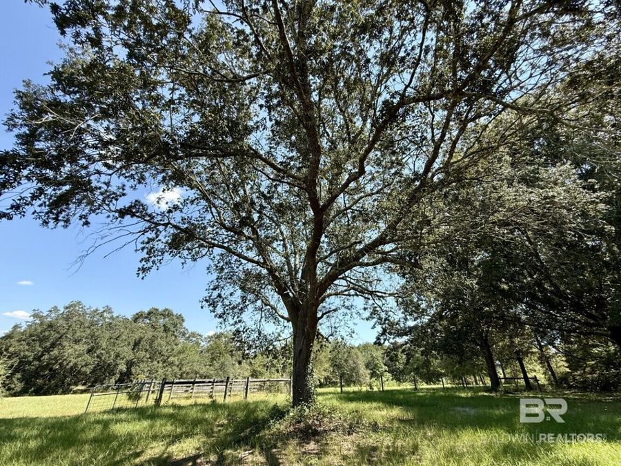 Property Image 66