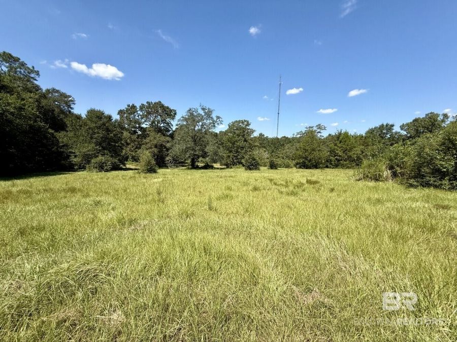 Property Image 68