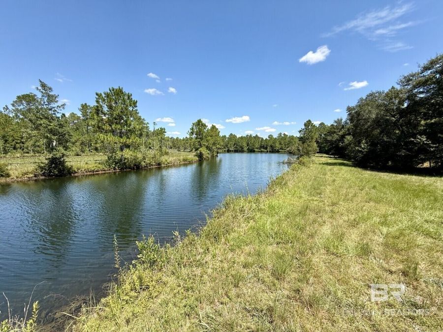Property Image 81