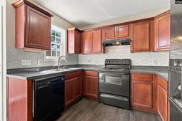 132 Sandy Creek Court  photo 4