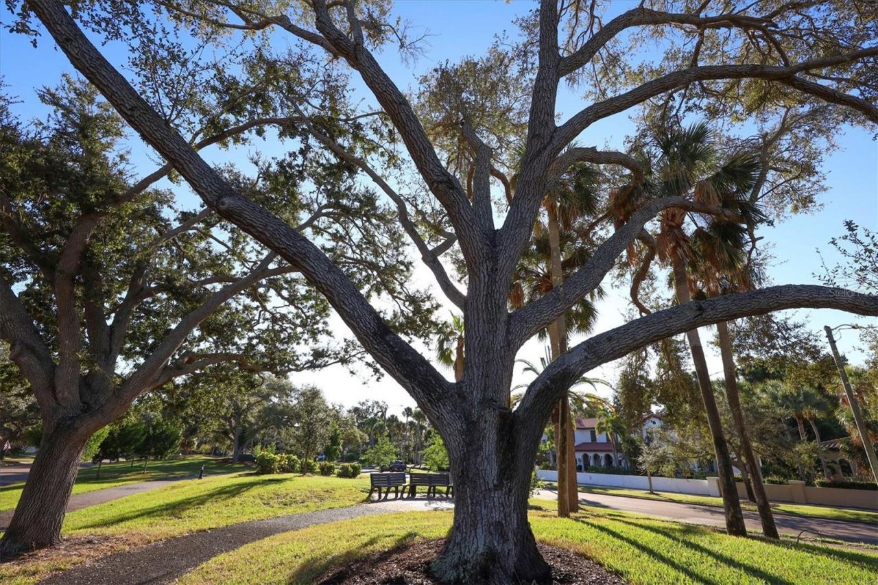 620 Hibiscus Drive, Venice, FL 34285 Photo