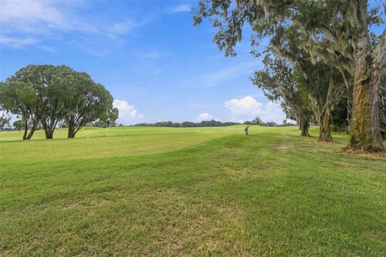 1519 Brilliant Cut Way, Valrico, FL 33594 Photo