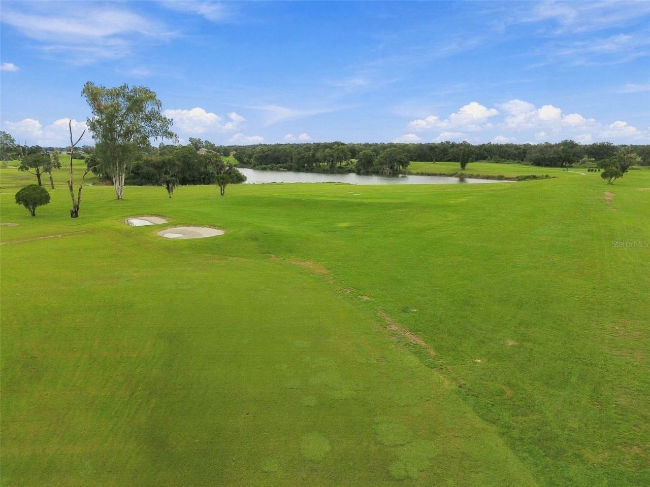 1519 Brilliant Cut Way, Valrico, FL 33594 Photo