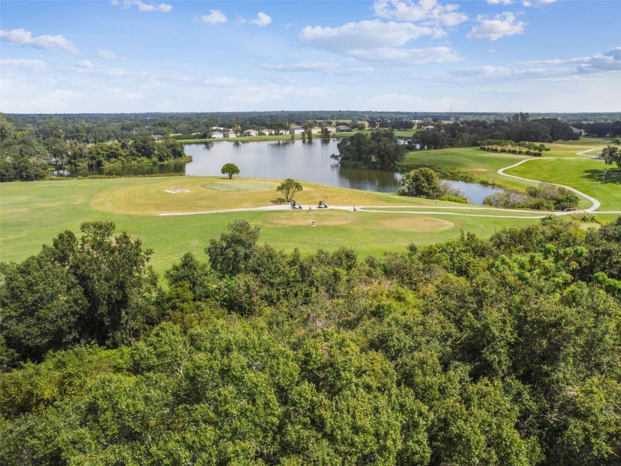 1519 Brilliant Cut Way, Valrico, FL 33594 Photo
