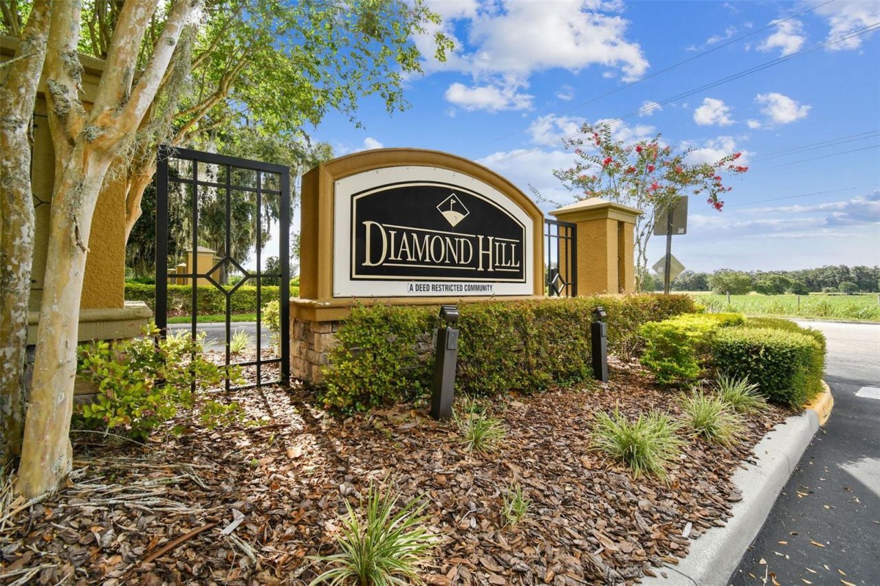 1519 Brilliant Cut Way, Valrico, FL 33594 Photo