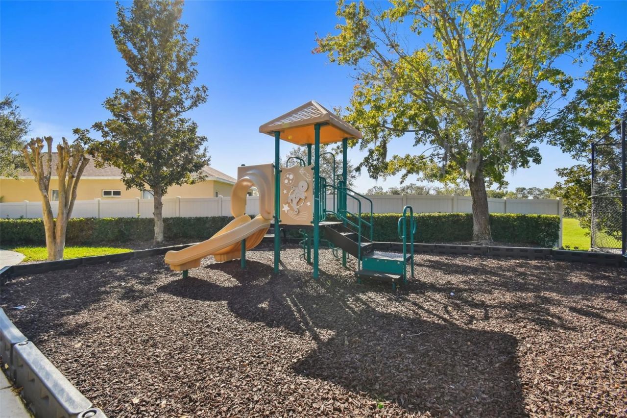 1519 Brilliant Cut Way, Valrico, FL 33594 Photo