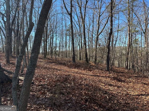 0 Charlie Lemley Road, Dawsonville, GA 30534