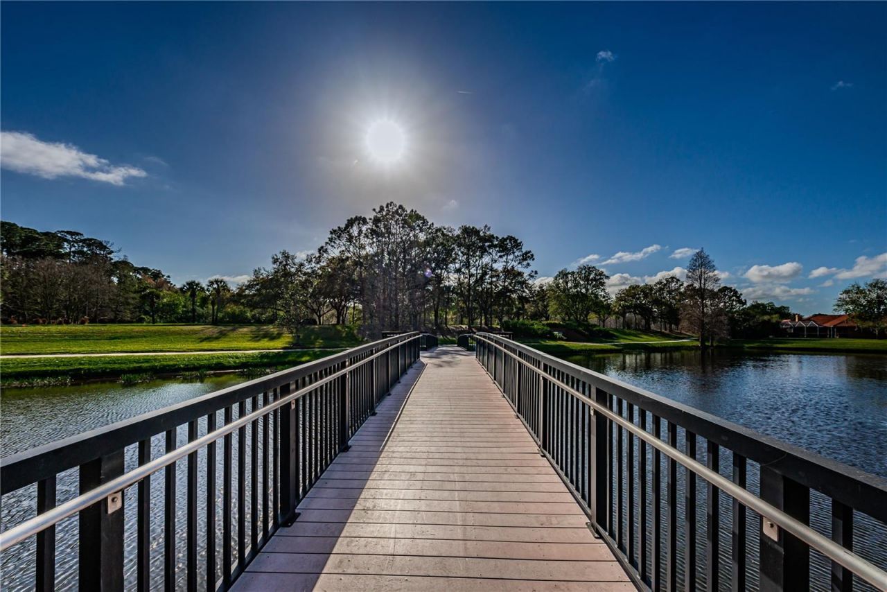 11925 Keating Drive, Tampa, FL 33626 Photo