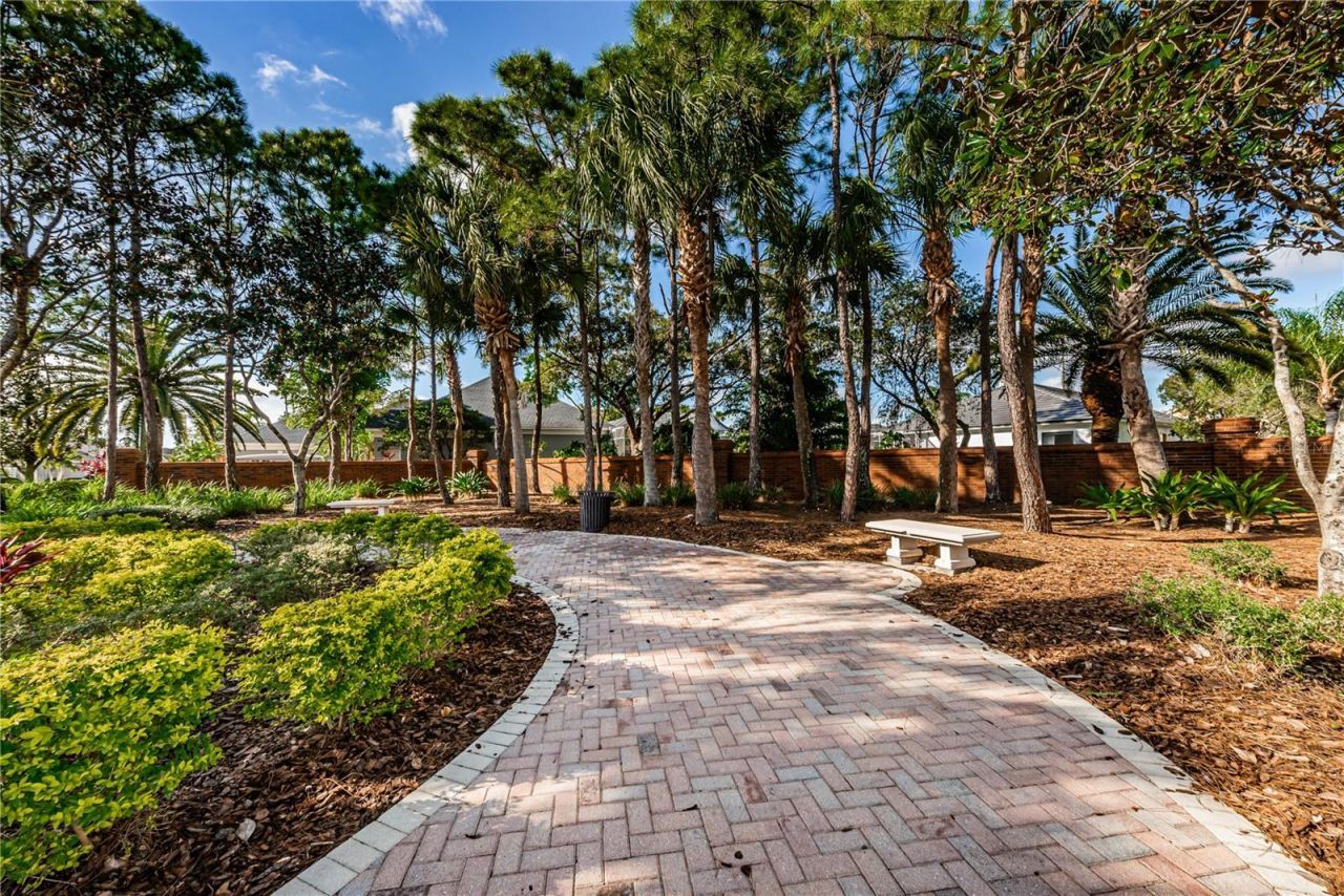 11925 Keating Drive, Tampa, FL 33626 Photo