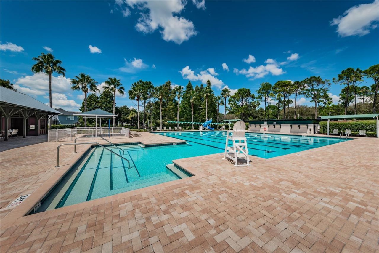 11925 Keating Drive, Tampa, FL 33626 Photo