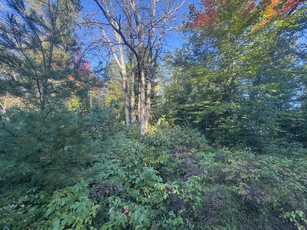 Lot 17 Aeronca Road, Luzerne, MI 48636