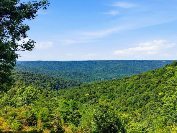 623 Coyote Trail, Spencer, TN 38585