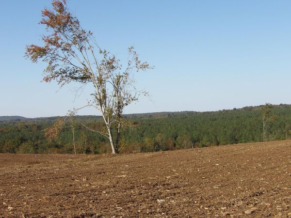 12 Summer City Road, Evensville, TN 37332