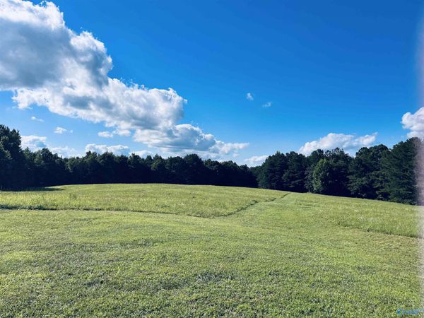 160 +/- ACRES County Road 1201, Vinemont, AL 35179