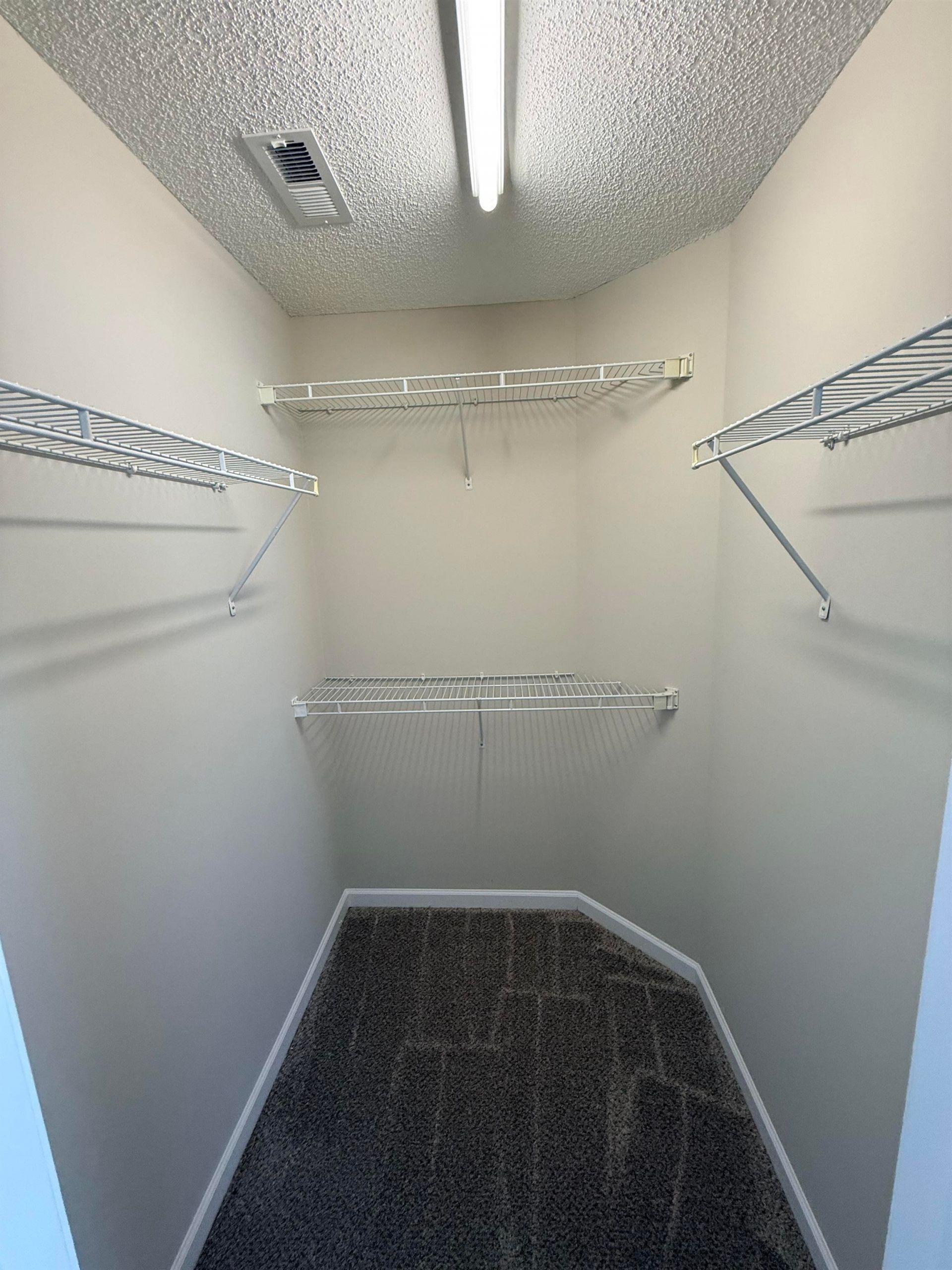 430 Wallingford Circle Photo 13