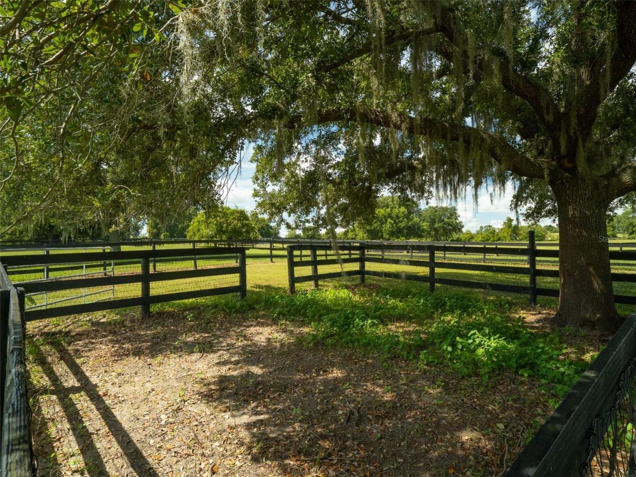 4900 NW 120th Street, Reddick, FL 32686 Photo