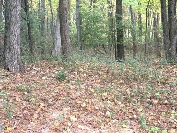 N3082 OTTER DRIVE, Waupaca, WI 54981
