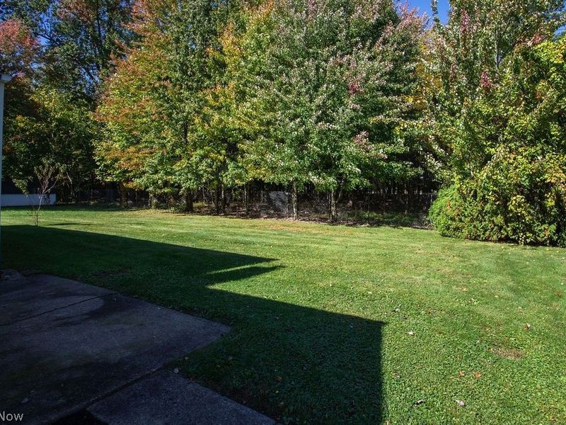 738 Orlo Lane, Boardman, OH 44512 Photo 4