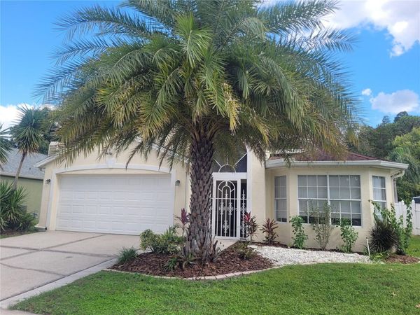 28935 STORMCLOUD PASS , WESLEY CHAPEL, FL 33543