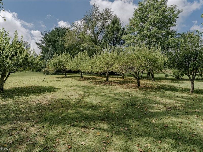 6241 Streeter Road, Mantua, OH 44255 Photo 38