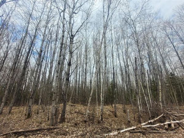On Broken Arrow Road, Holcombe, WI 54745