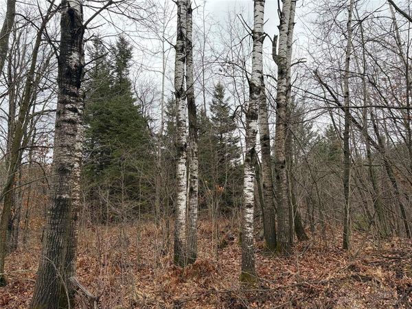 On Sheep Camp Road, Ladysmith, WI 54848
