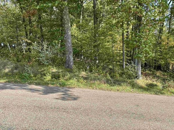 Lot 1 BRANDT ROAD, Unit Parcel #07, Iola, WI 54945