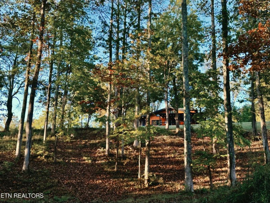 Property Image 43