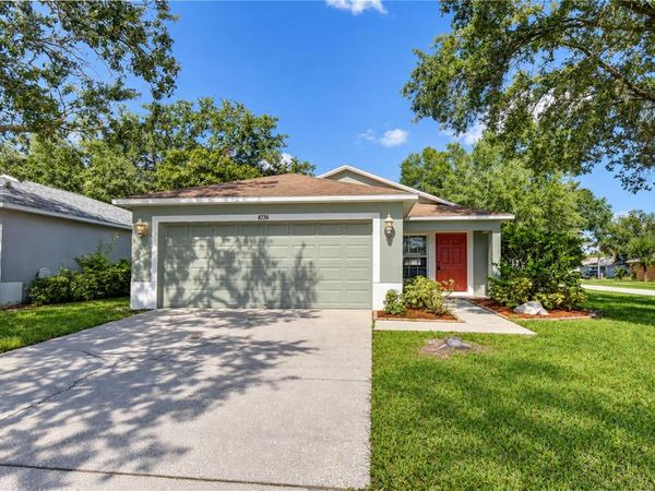 8736 MORRISON OAKS COURT , TEMPLE TERRACE, FL 33637