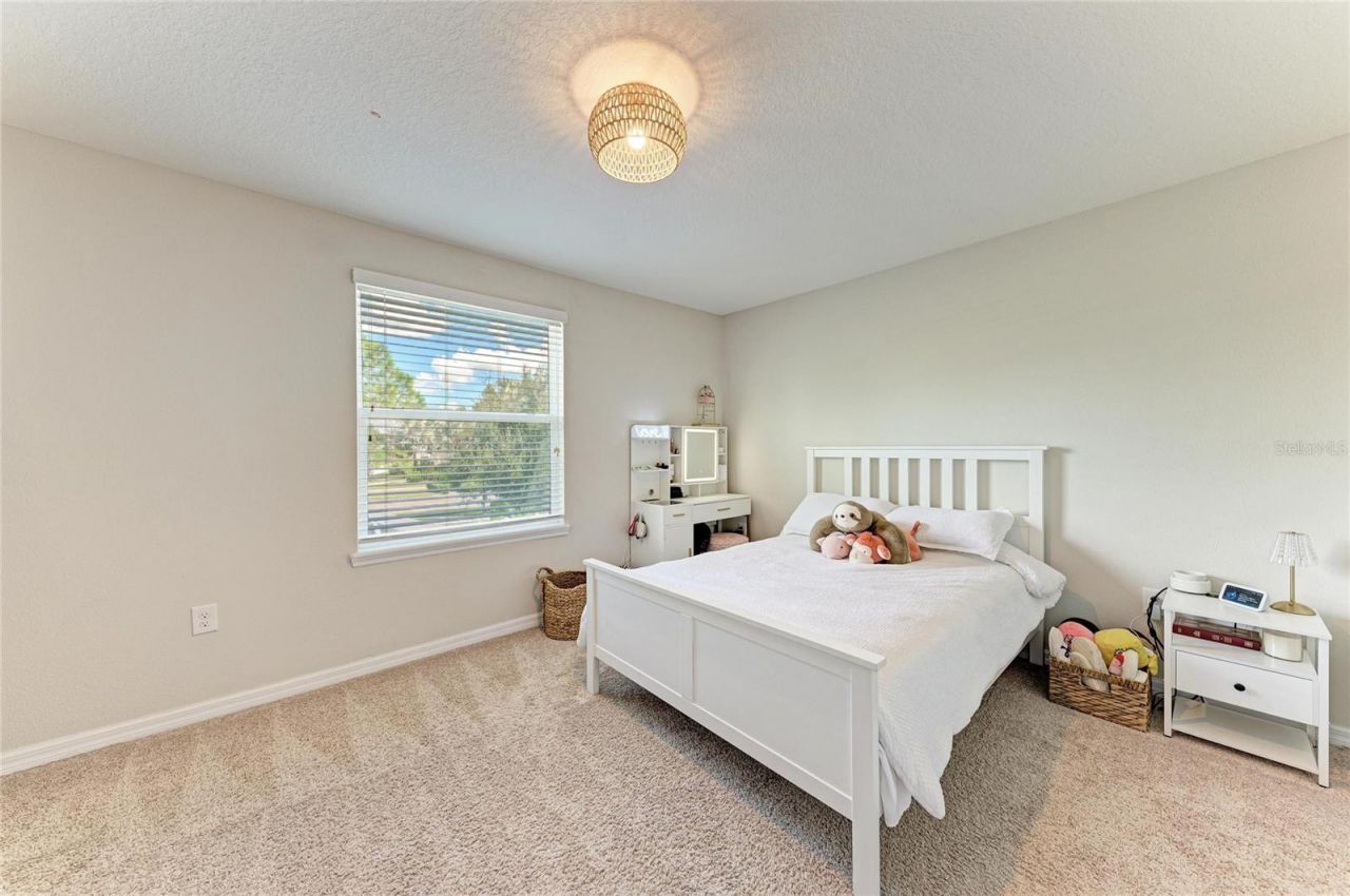 119 Brilliant Bloom Court, Bradenton, FL 34212 Photo