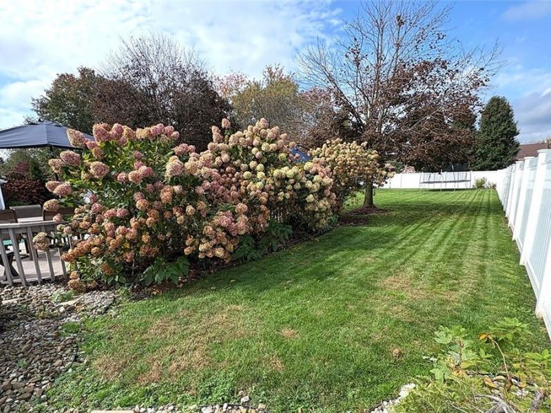814 Mcdaniel Avenue, Minerva, OH 44657 Photo 10