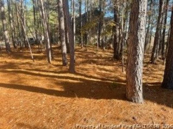 847 Seagull Drive , Vass, NC 28394