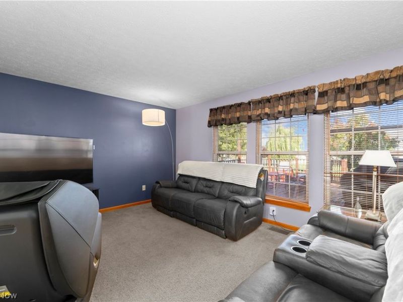 3950 Martins Run Drive, Lorain, OH 44053 Photo 17