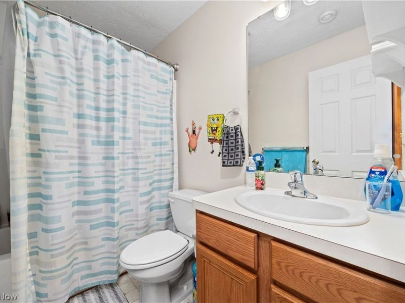 3950 Martins Run Drive, Lorain, OH 44053 Photo 34