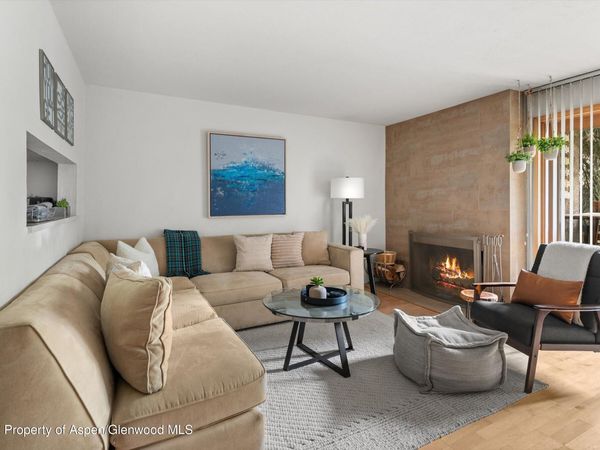 910 W Hallam Street, Unit #8, Aspen, CO 81611
