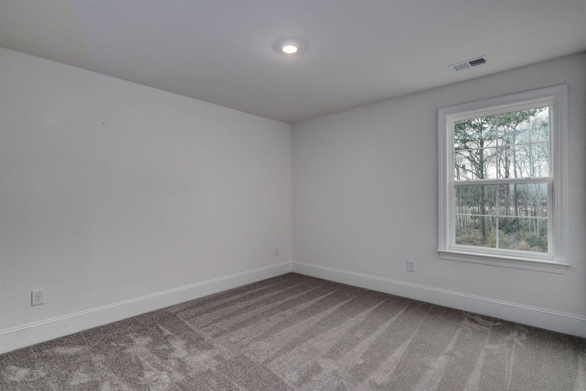 250 Brown Bear Dr  Photo 28