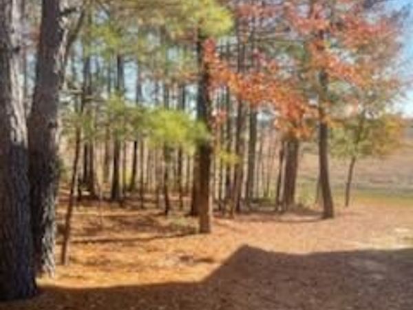 847 Seagull Drive , Vass, NC 28394