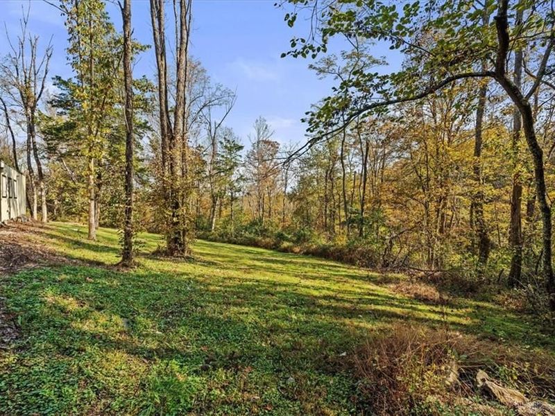 4776 Brier Ridge Road, West Union, OH 45693 Photo 19