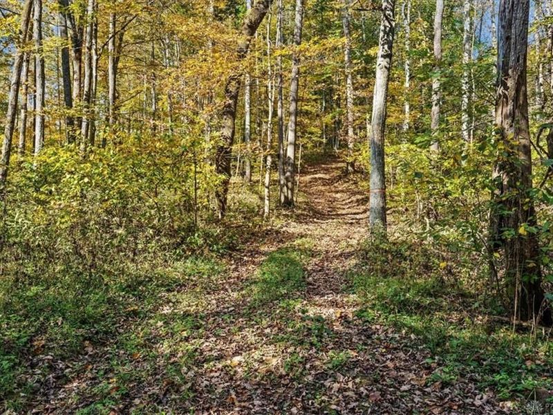 4776 Brier Ridge Road, West Union, OH 45693 Photo 23